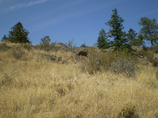 Trail is often overgrown, continues to climb and head north, Oliver Mtn 2011-09.